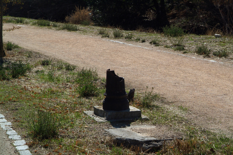 DSCF4447.jpg