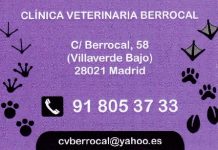 Clínica Veterinaria Berrocal
