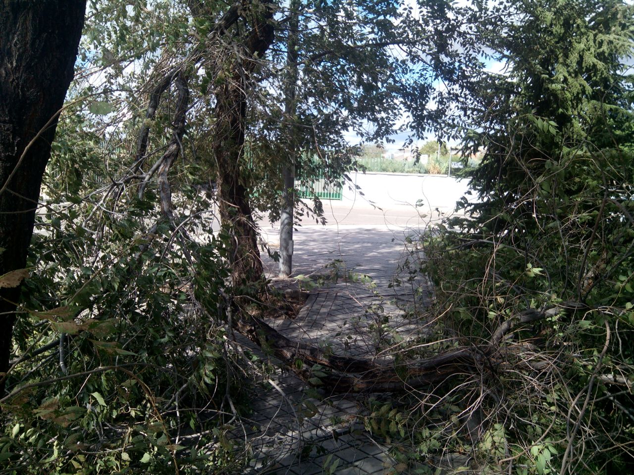 IMG-20141012-WA0000.jpg