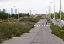 Abandono y descuido en las zonas verdes de los nuevos barrios