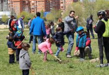 Resumen del año 2016 según la web de AVIB resumen AVIB 2017