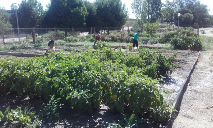 Reunión de inicio de curso en el Huerto Urbano de Butarque