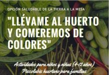Taller Llévame al huerto y comeremos de colores